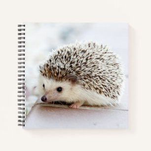 Carnet Hérisson bébé mignon