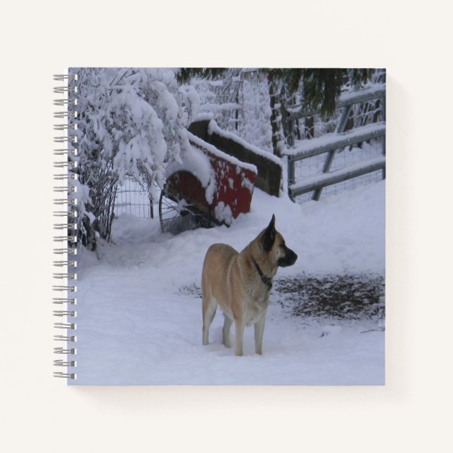 Carnet Heure d'hiver.... (Devant)