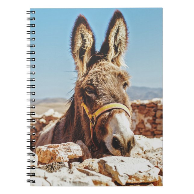 CARNET HI DONKEY (Devant)