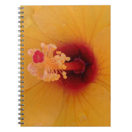 Carnet Hibiscus