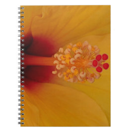 Carnet Hibiscus