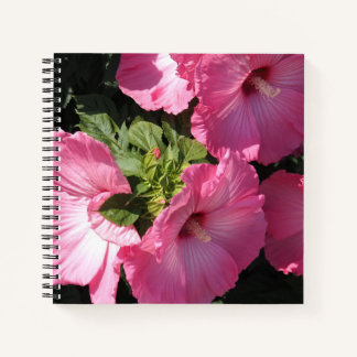Carnet Hibiscus Hardy