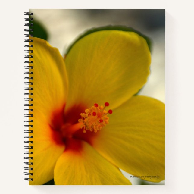 Carnet Hibiscus jaune (Devant)