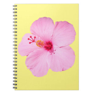 Carnet Hibiscus rose Fleur tropicale