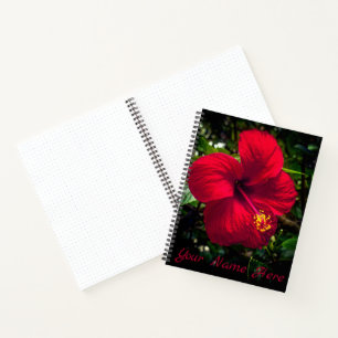 carnet "Hibiscus rouge"