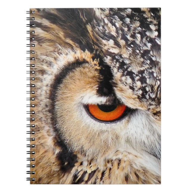 CARNET HIBOU (Devant)