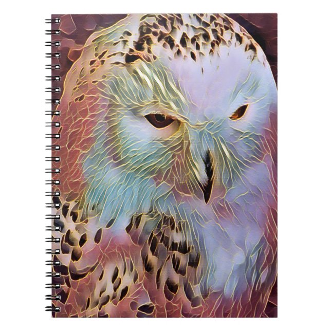 CARNET HIBOU (Devant)