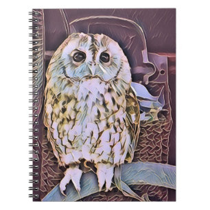 CARNET HIBOU