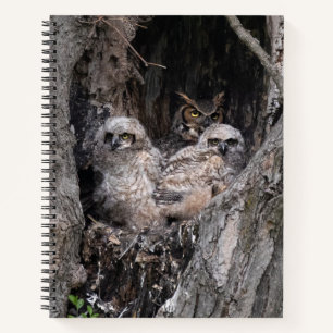 Carnet Hibou et owley