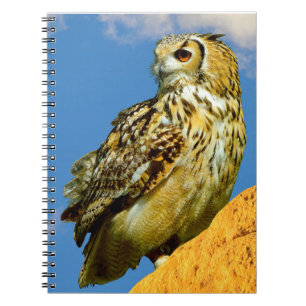 Carnet Hibou grand-duc