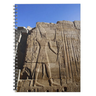 Carnet Hiéroglyphes anciens sur le mur, Temple de Karnak,