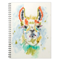 Hifi Llama - portrait