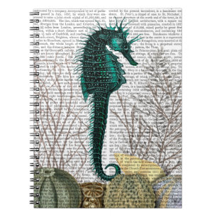 Carnet Hippocampe et oursins 2