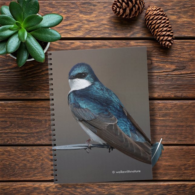 Carnet Hirondelle d'arbre : Oiseau sur un fil (Handsome Tree Swallow on a Wire Journal Cover Photo)