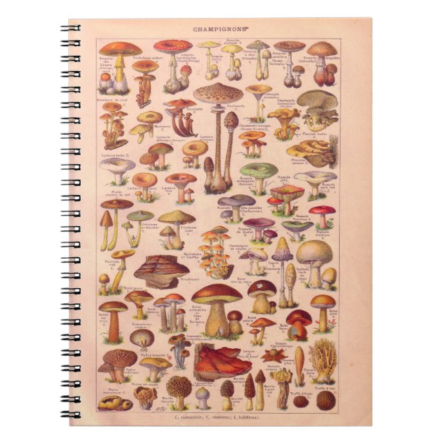 Carnet Historique vintage, champignons (Devant)