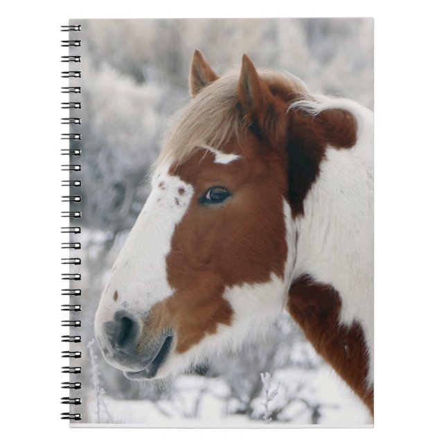 Carnet Hiver dans le bassin de lavage de sable (Devant)