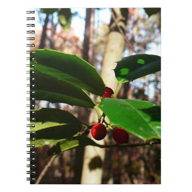 Carnet Holly Leaves (Devant)