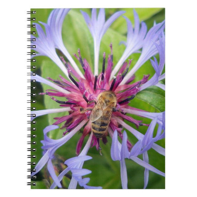 Carnet Honeybee Mandala (Devant)