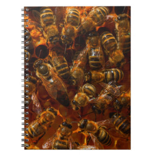 CARNET HONEYBEES 7