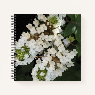 Carnet Hortensia à feuilles d'orme