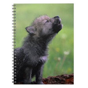 Carnet Howling Wolf Cub