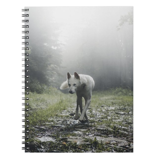 Carnet Husky Sibérien Blanc (Devant)