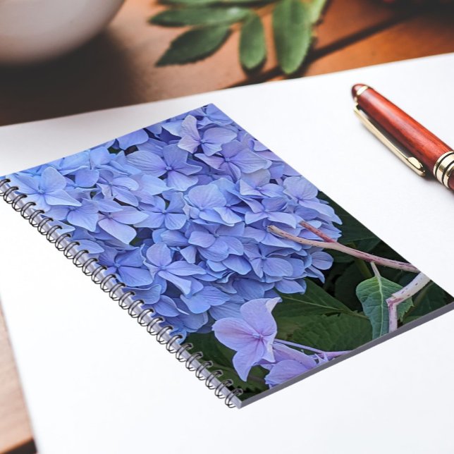Carnet Hydrangea à Tête Bleue Fleur Florale (In Situ)