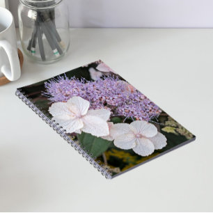 Carnet Hydrangea Aspera Blanche Fleurs Florales