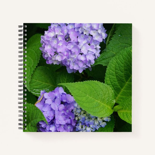 Carnet Hydrangea lavande (Devant)