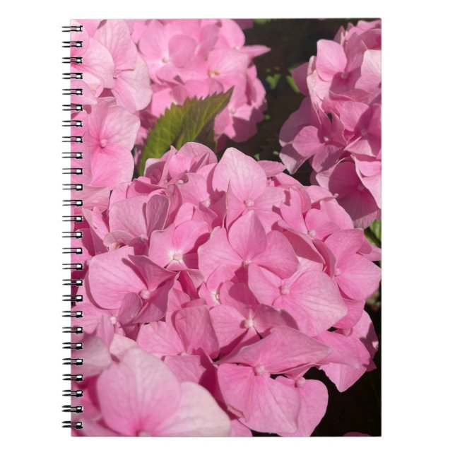 Carnet Hydrangea rose (Devant)
