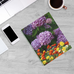 Carnet Hydrangée rose et couleur Zinnia Floral