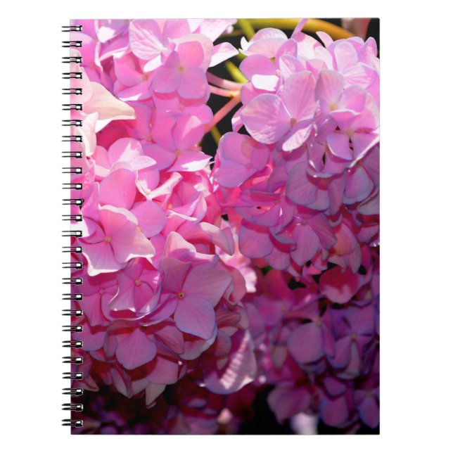 Carnet Hydrangée rose romantique (Devant)