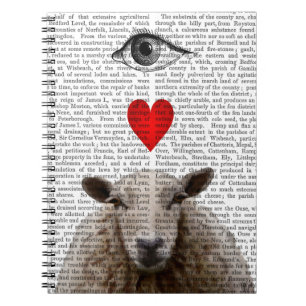 Carnet I brebis de coeur