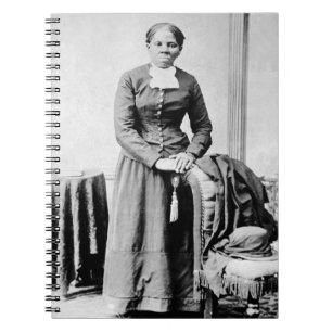 Carnet Icônes de l'histoire noire : Harriet Tubman, Droit