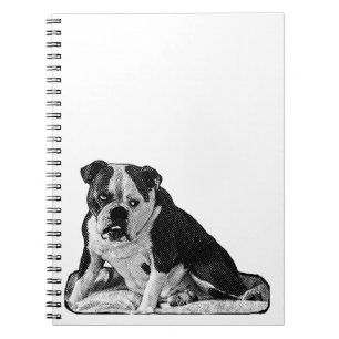 Carnet Idées dans les tons doux
