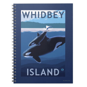Carnet Île, WashingtonOrca et veau de Whidbey