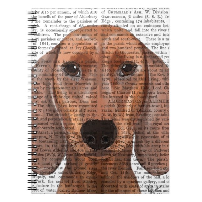 Carnet Illustration Dachshund Plain (Devant)