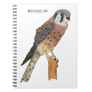 Carnet Illustration de Faucon crécerelle américain