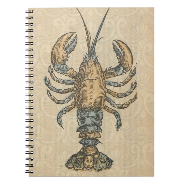 Carnet Illustration de homard, fruits de mer du Maine (Devant)