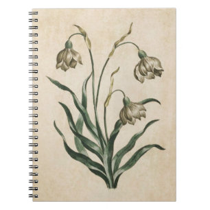 Carnet Illustration de la chute de neige Vintage en flore