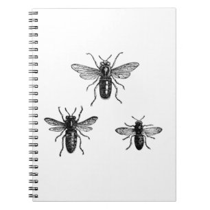 Carnet Illustration de la reine abeille et abeilles ouvri