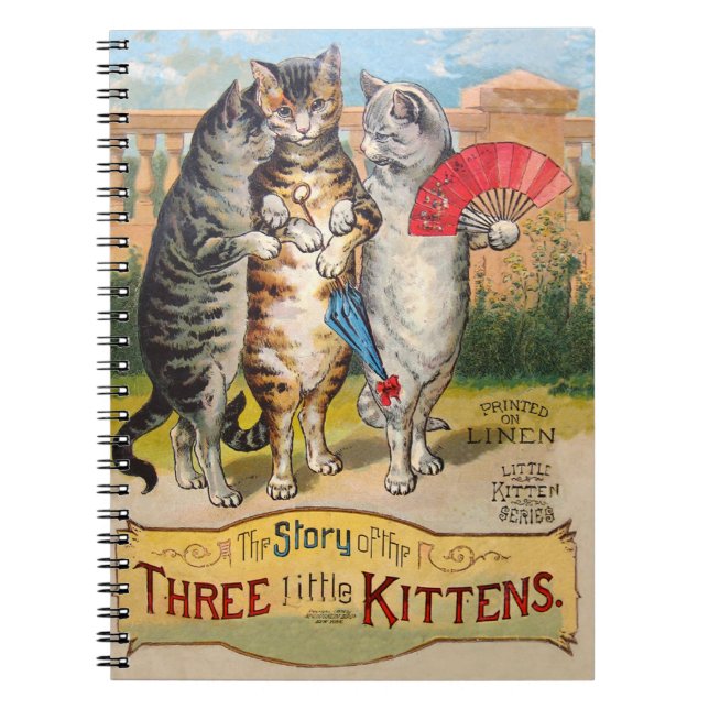 Carnet Illustration de l'oie des trois petits chatons (Devant)