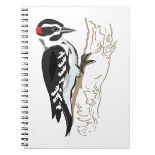 Carnet Illustration du pic