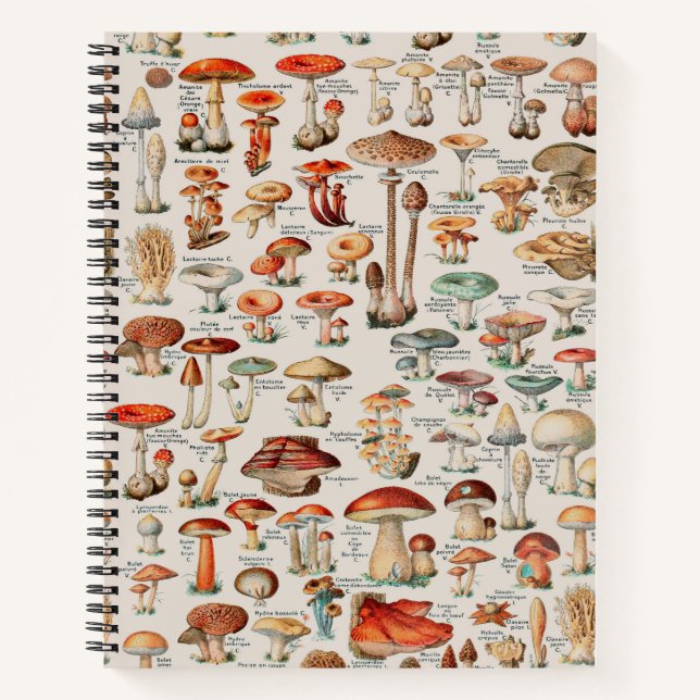 Carnet Illustration I du champignon vintage (Devant)