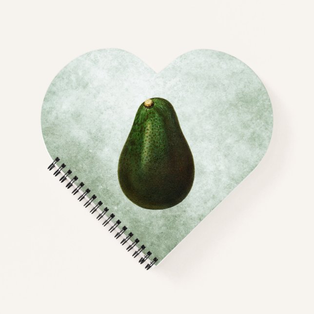 Carnet Illustration Persea Avocado (Devant)