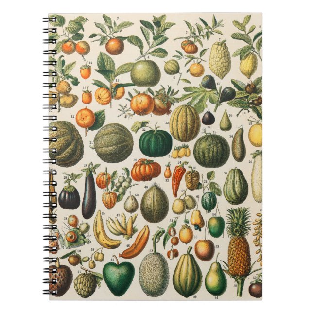 Carnet Illustration scientifique végétale des fruits (Devant)