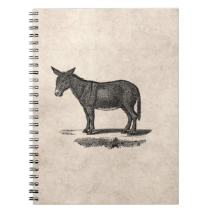 Carnet Illustration vintage d'âne - ânes 1800's