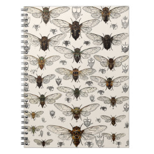 Carnet Illustration vintage de cigales