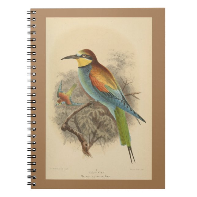 Carnet Illustration vintage de l'Abeille européenne (Devant)