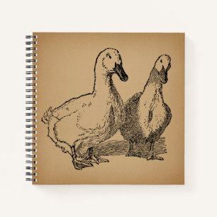 Carnet Illustration vintage Duck Art Two Ducks